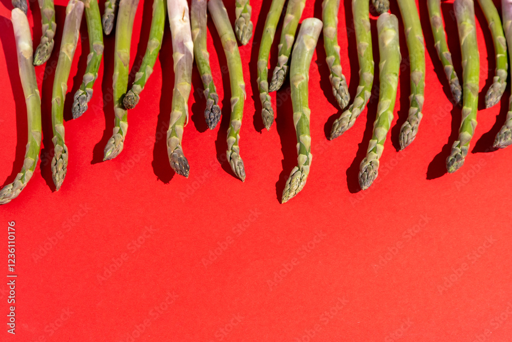 Green asparagus on red background. Vegetable orcanic food top view. Sprouts stems. Copy spase. Green asparagus on red background. Vegetable orcanic food top view. Sprouts stems. Copy spase.