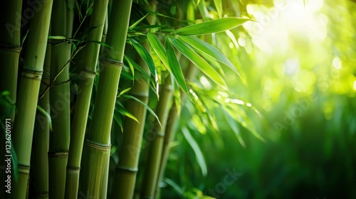 A bamboo garden surrounded by lush greenery, creating a peaceful escape.