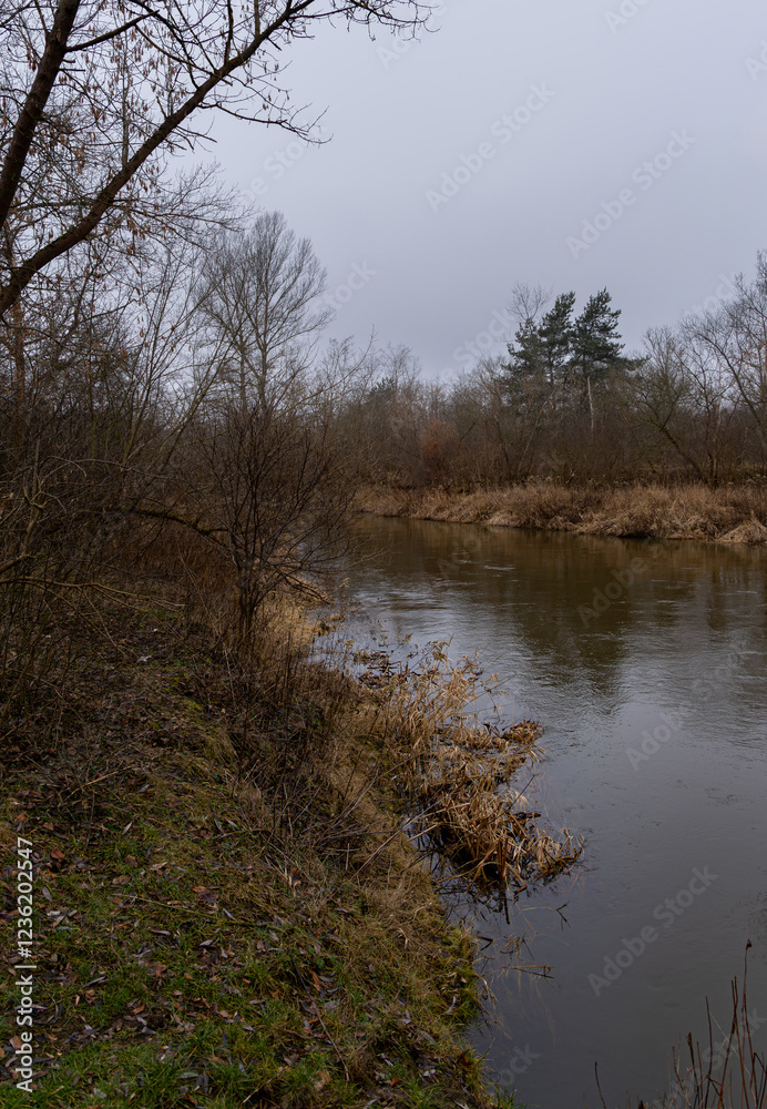 Bank of the Swider River during the winter thaw, Masovia, central Poland Bank of the Swider River during the winter thaw, Masovia, central Poland
