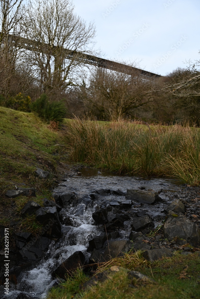 a view of the Meldon viaduct. a truss bridge that carried the Dartmoor railway which is now a cycle route a view of the Meldon viaduct. a truss bridge that carried the Dartmoor railway which is now a cycle route