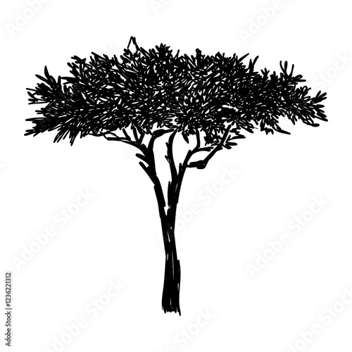 savanna tree, vector sketch