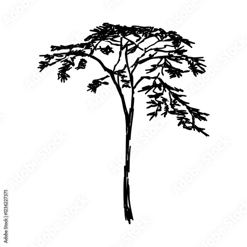 savanna tree, vector sketch