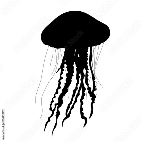 jellyfish silhouette on white background vector