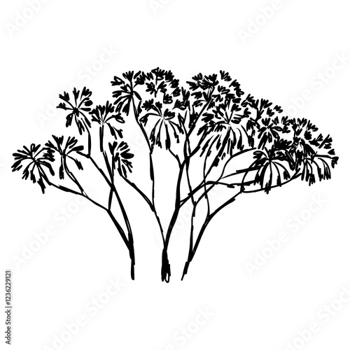 savanna tree, vector sketch