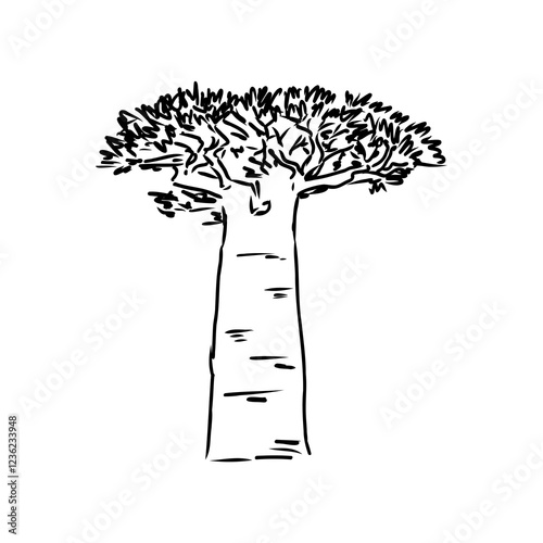 savanna tree, vector sketch