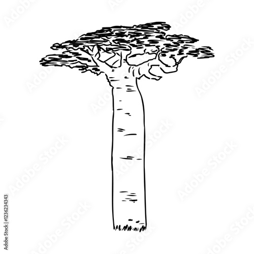 savanna tree, vector sketch
