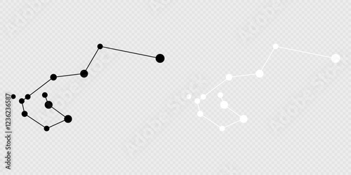 Carina constellation map set. Vector illustration.
