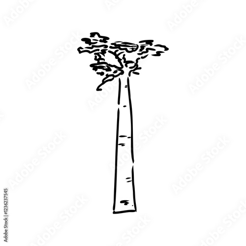 savanna tree, vector sketch