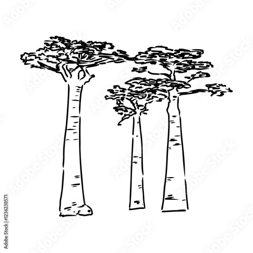 savanna tree, vector sketch
