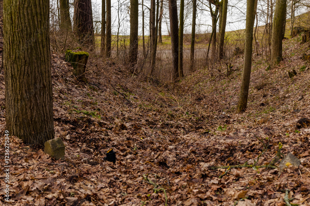 descent to the river