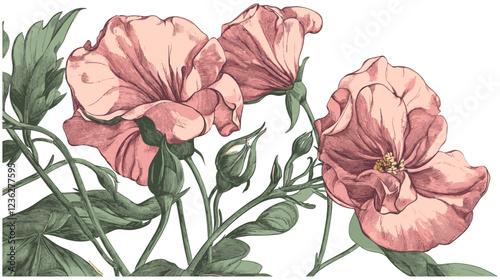 Muted pink blooms with green foliage, intricate sketchy engraving style of 1905 Sweet Pea flower design, botanical artwork, floral sketch, vintage engraving, artistic flower illustration, home decor