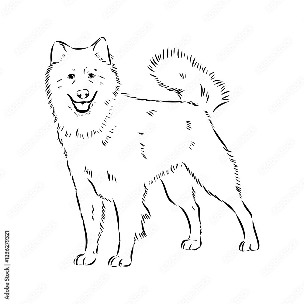 Naklejka premium Illustration, outline. Thai bangkaew dog silhouette. sitting position from behind