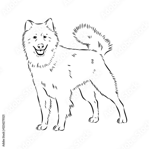 Illustration, outline. Thai bangkaew dog silhouette. sitting position from behind