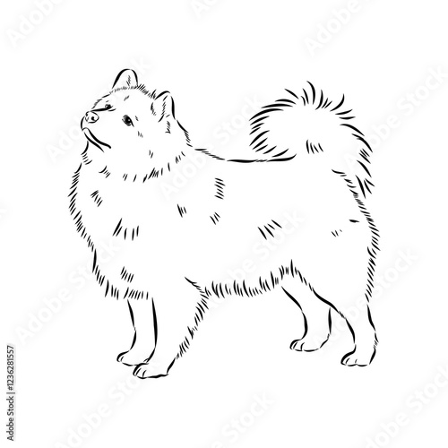 Illustration, outline. Thai bangkaew dog silhouette. sitting position from behind