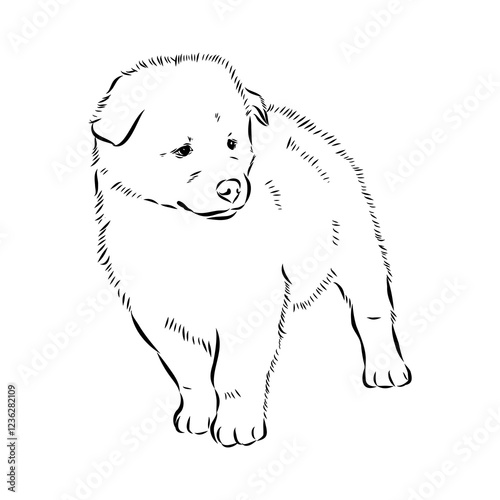Illustration, outline. Thai bangkaew dog silhouette. sitting position from behind