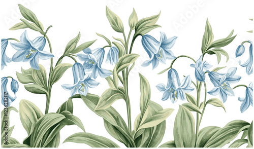 Botanical design, delicate bluebell flowers, intricate line work, lush green foliage, floral art, nature print, vintage illustration, classic engraving style