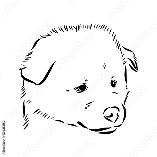 Illustration, outline. Thai bangkaew dog silhouette. sitting position from behind