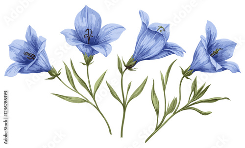Delicate blue flowers, vintage engraving style, 1940s Bellflower with fine details, green stems, floral illustration, antique botanical prints, historical flower art