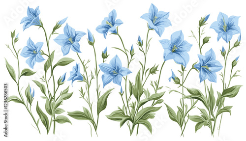 Blue flowers with green stems, delicate 1940s Bellflower, vintage engraving style, fine details, antique botanical illustrations, historical floral artwork