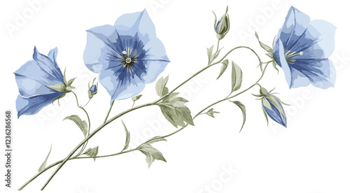 1940s Bellflower with green stems, delicate blue flowers, vintage engraving style, fine detailed floral illustration, antique botanical artwork, flower print design