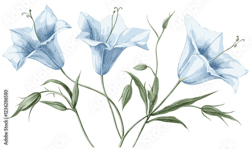 Delicate vintage 1940s Bellflower, blue flowers, green stems, engraving style, fine details, botanical illustration, antique floral art, historical flower designs