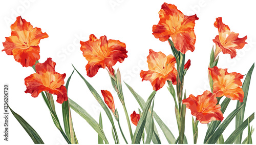 1940s Gladiolus flowers, tall green stems, red orange blooms, vintage engraving effect