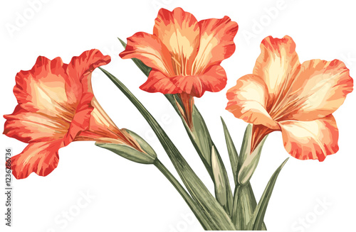 Aged background 1940s Gladiolus, tall green stems, red orange blooms, vintage engraving effect