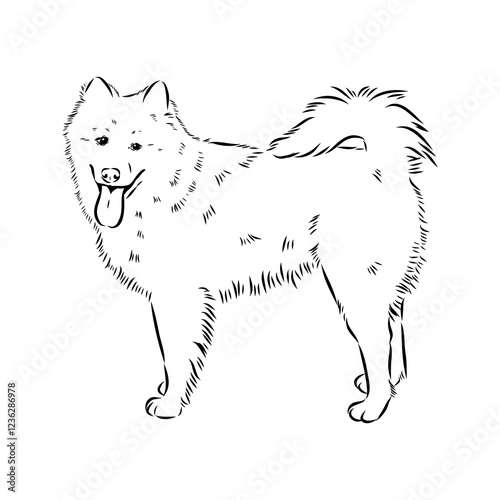 Illustration, outline. Thai bangkaew dog silhouette. sitting position from behind