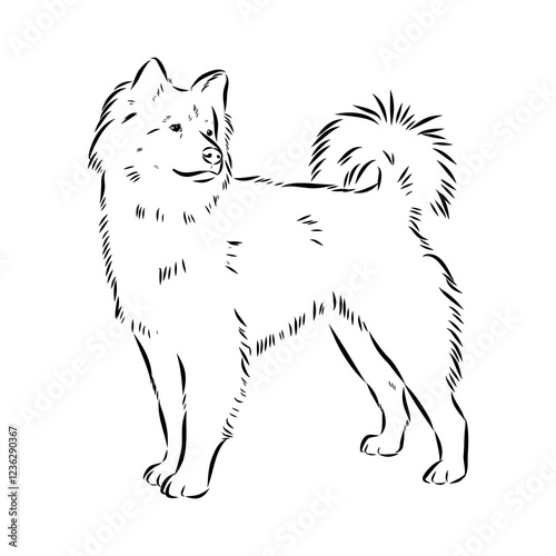 Illustration, outline. Thai bangkaew dog silhouette. sitting position from behind