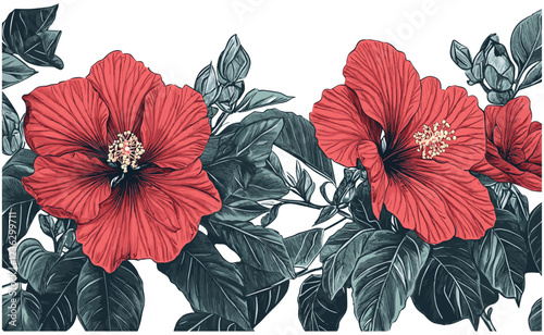 Intricate and detailed engraving of 2005 Hibiscus, highlighting bright red flowers and dark green leaves