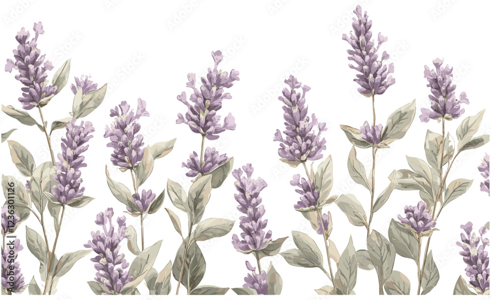Naklejka premium Soft purple lavender blooms with green foliage, captured in a classic engraving style, evoking the timeless beauty of the 2020s.