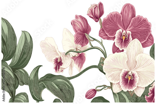 2025 Orchid flowers with fine engraving details in deep pink and white, highlighted by green leaves and intricate artistry