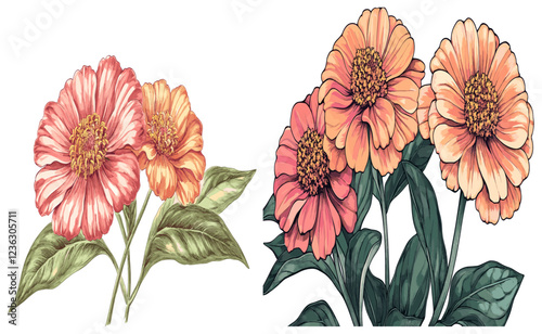 Captivating 2050s Zinnia flowers, orange and yellow blooms with lush green leaves, rendered in a detailed and sketchy engraving style that brings out their beauty. photo