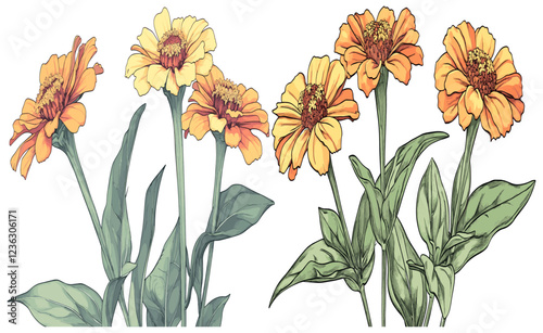 Detailed engraving of 2050s Zinnia flowers, vivid orange and yellow petals complemented by green leaves, captured in a fine sketchy style that highlights every intricate detail.