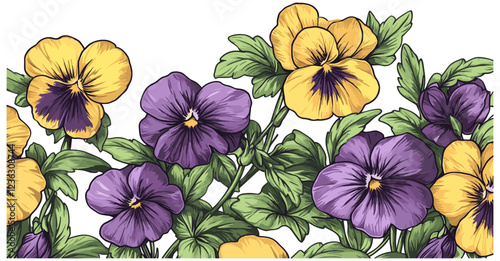 The beauty of yellow and purple pansy flowers, accompanied by lush green foliage, brought to life in a classic engraving style that emphasizes their elegance.