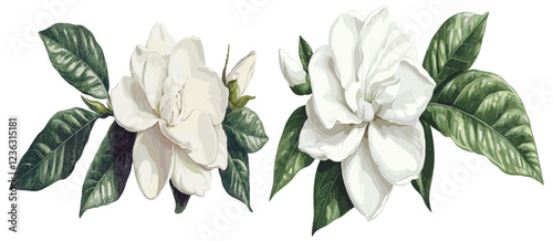 Elegant Christmas decor featuring an antique botanical gardenia flower drawing with lush white petals, bringing a refined vintage aesthetic to your holiday celebrations.
