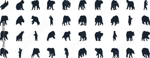 Bear silhouette, various poses of bear, standing, walking, sitting, wildlife, nature, animal, black, outline, wild, mammal, grizzly bear collection