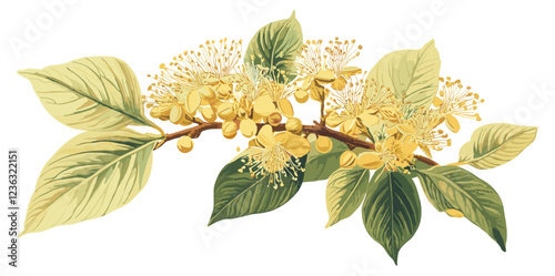 Winter elegance through vintage botanical art, featuring a linden flower in soft yellow hues, a perfect antique illustration for seasonal décor.