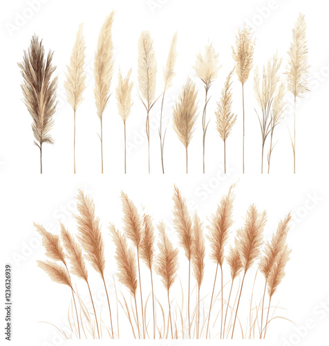 Vintage Boho Illustration of Antique Pampas Grass, Boho Art with Pampas Grass Illustration, Antique Aesthetic Design, Vintage Botanical Decor, Rustic Elegance, Botanical Grass Illustration,
