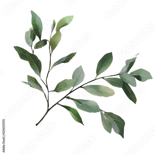 Realistic Botanical Green Leaf Branch with Natural Details