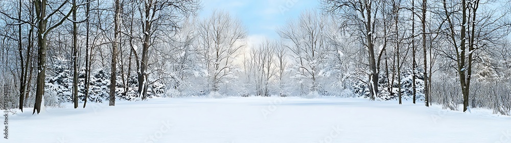 A serene winter landscape featuring snow-covered trees and a tranquil pathway, inviting a sense of peace and solitude. calming rhythms serenity patterns concept A serene winter landscape featuring snow-covered trees and a tranquil pathway, inviting a sense of peace and solitude. calming rhythms serenity patterns concept