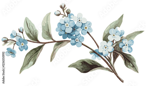 A vintage floral design of a forget-me-not flower in soft blue and white hues, with detailed leaves and a beautifully intricate old botanical illustration.