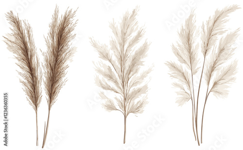 Vintage Boho Old Pampas Grass Illustration, Retro vector, Botanical artwork, Wild grass design, Bohemian decor, Nature-inspired drawing, Rustic illustration, Classic vintage style, Botanical art