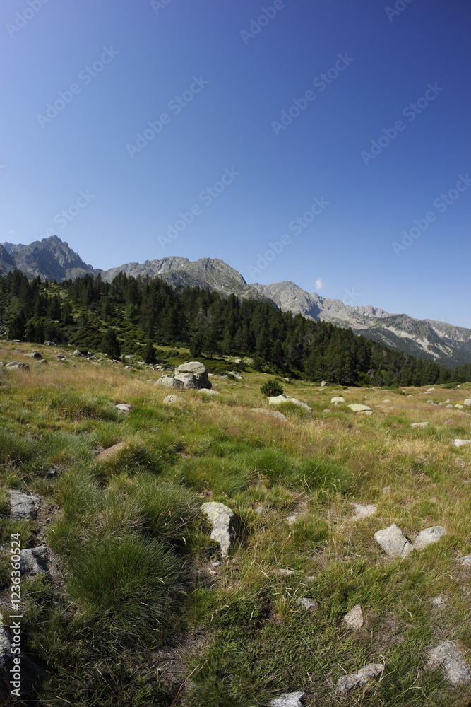 Fototapeta premium Summer hiking in Pyrenees Mountains, Andorra