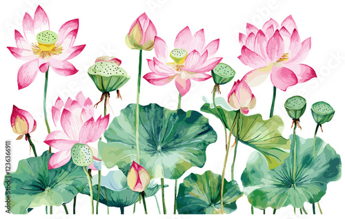 Beautiful watercolor botanical illustration with a soft pink lotus border and intricate floral details, creating an elegant and serene design