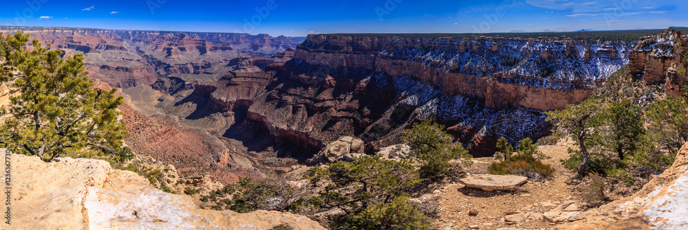 Εκτύπωση καμβά A panoramic view of the Grand Canyon with snow on the trees