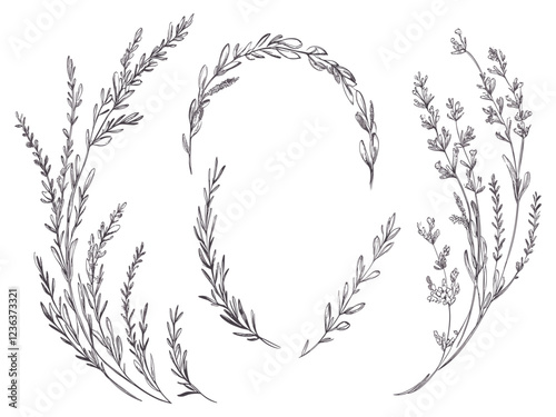 Rustic wedding wildflowers, lavender calligraphic wreath, botanical floral branches, feminine vector design for save the date invitation
