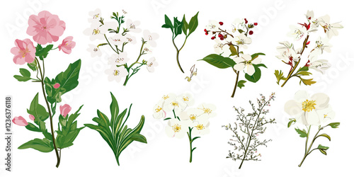 Spring-inspired garden flowers set, offering a stunning array of blooms to bring life and beauty into your living space with colors that celebrate the season.