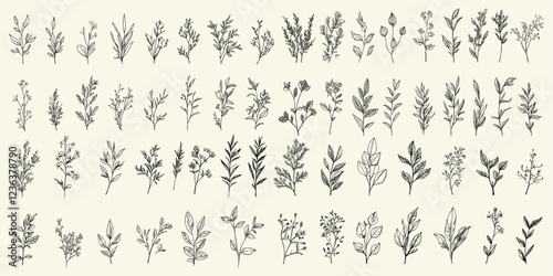 Vintage botanical elements, hand-drawn herbs, spices set, trendy vector leaves and blooming branches