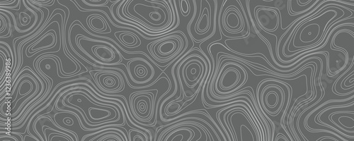 Hand-Drawn Style Topography Contour Map with Fine Artistic Lines and a Vintage Aesthetic

